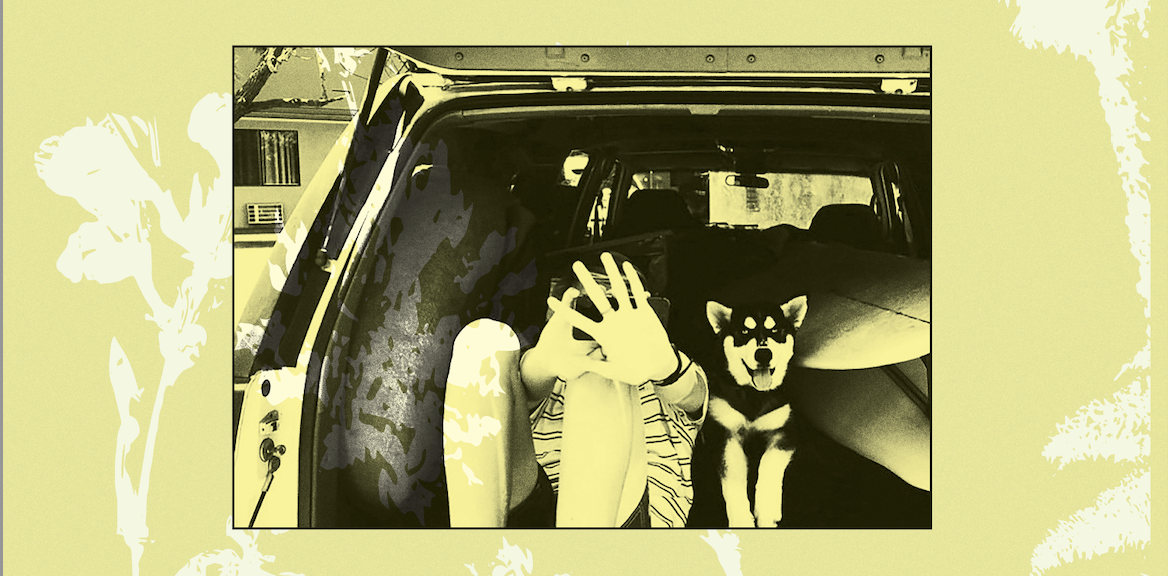 Throwing Muses