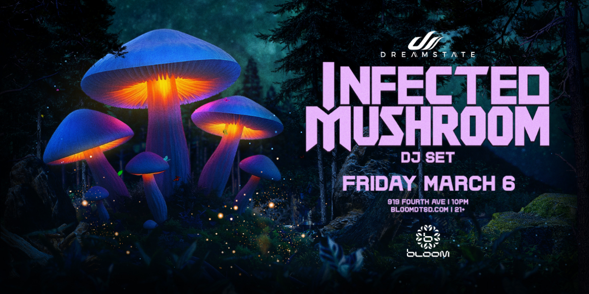 Infected Mushroom (DJ Set)