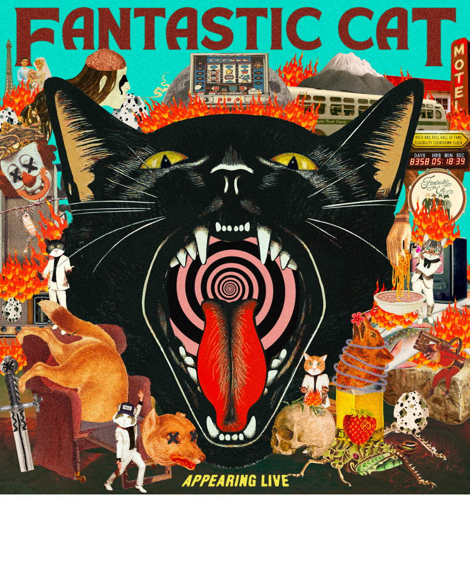 Fantastic Cat