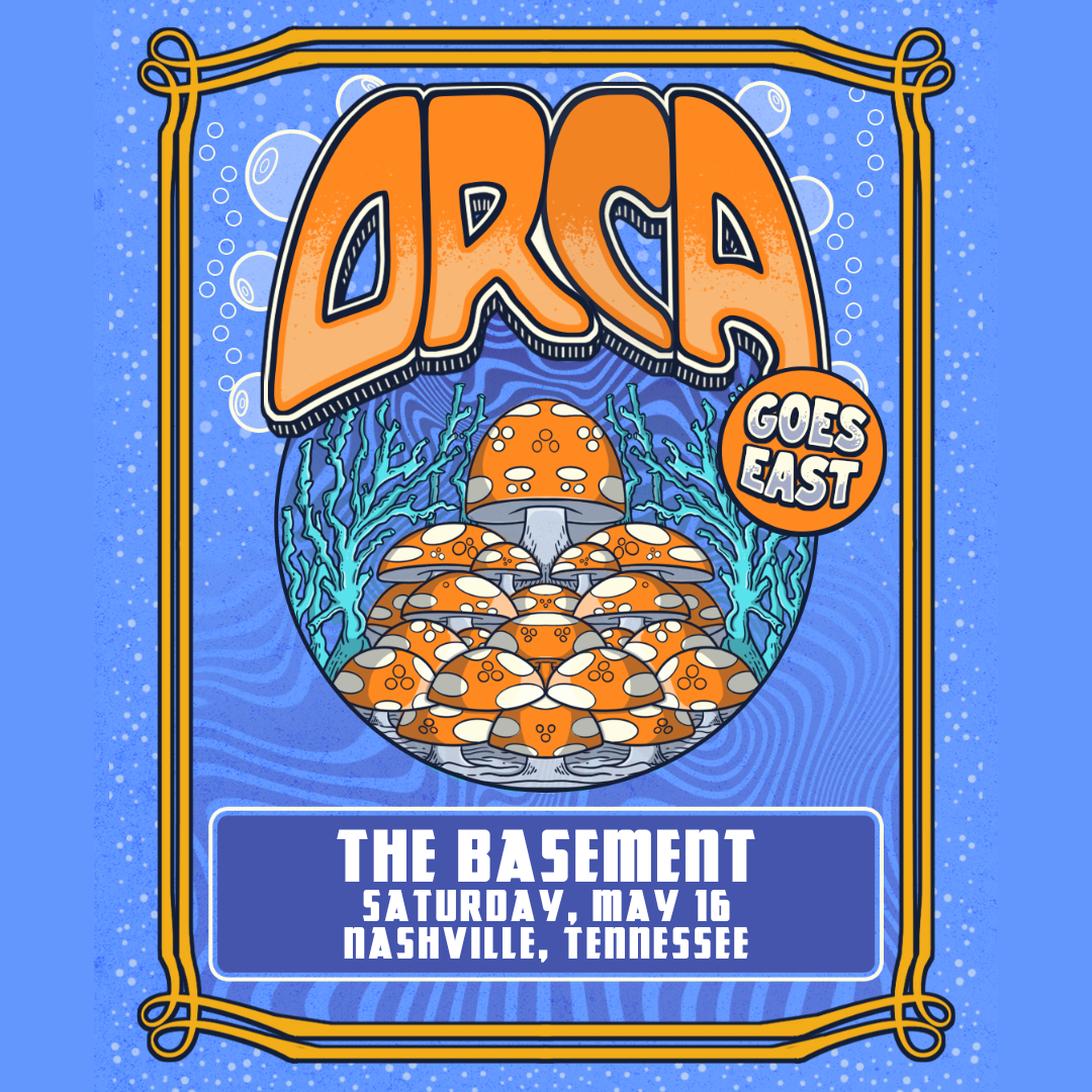 Orca
