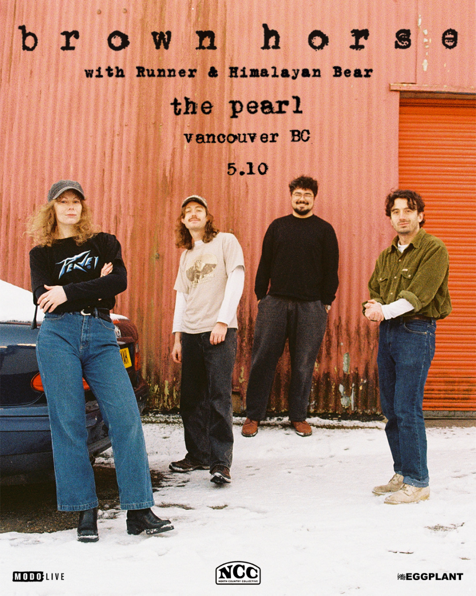 Brown Horse with Special Guests
