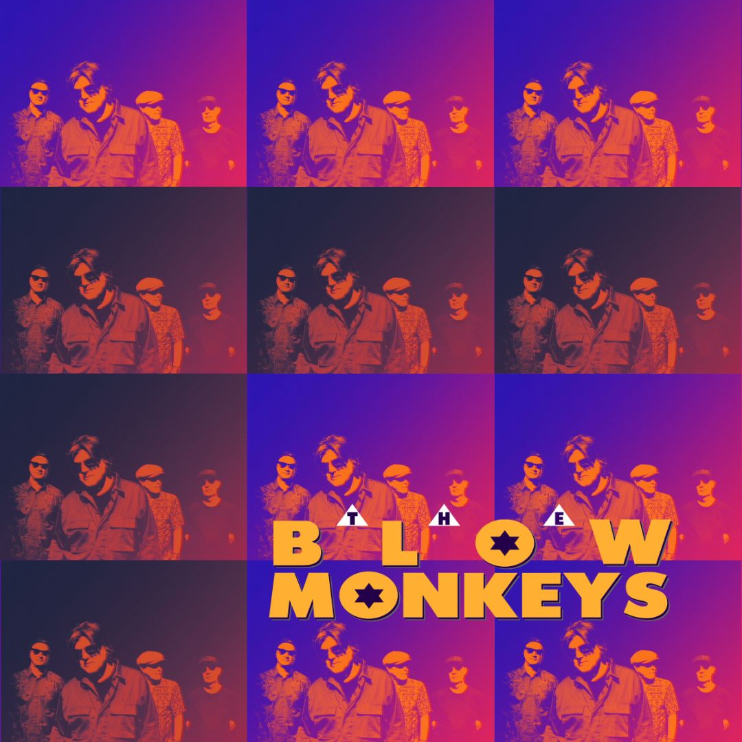 The Blow Monkeys - The Brook