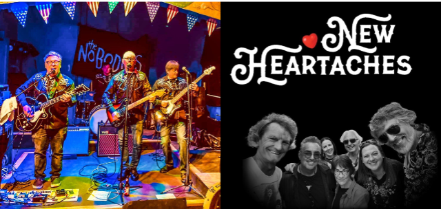 Friday Night in the Sidebar w/ THE NEW HEARTACHES & THE NOBODIES at FITZGERALDS SIDEBAR – Berwyn, IL