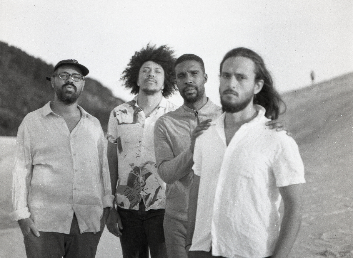Boogarins