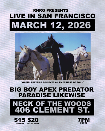 Big Boy/ Apex Predator/ Paradise/ Likewise at Neck of the Woods