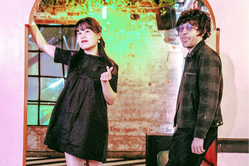 Chinese American Bear