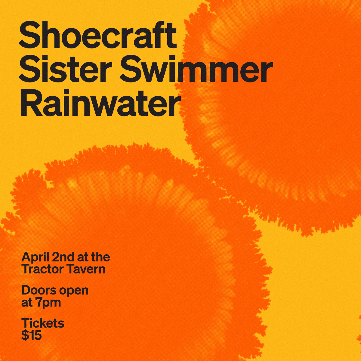 Shoecraft, Sister Swimmer, Rainwater