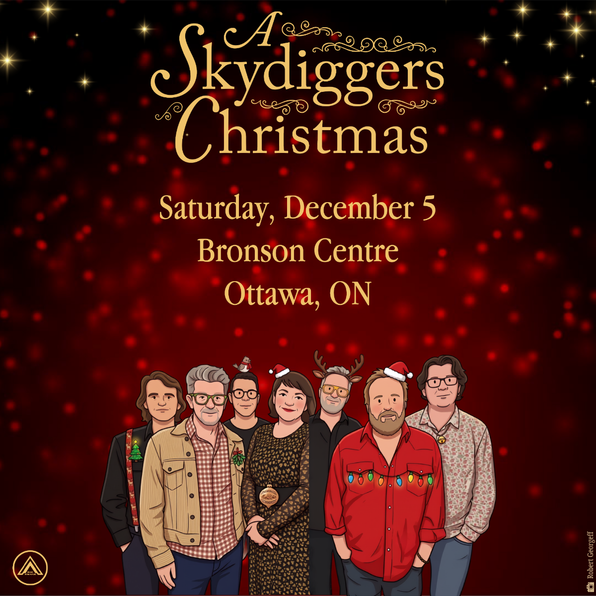 Skydiggers