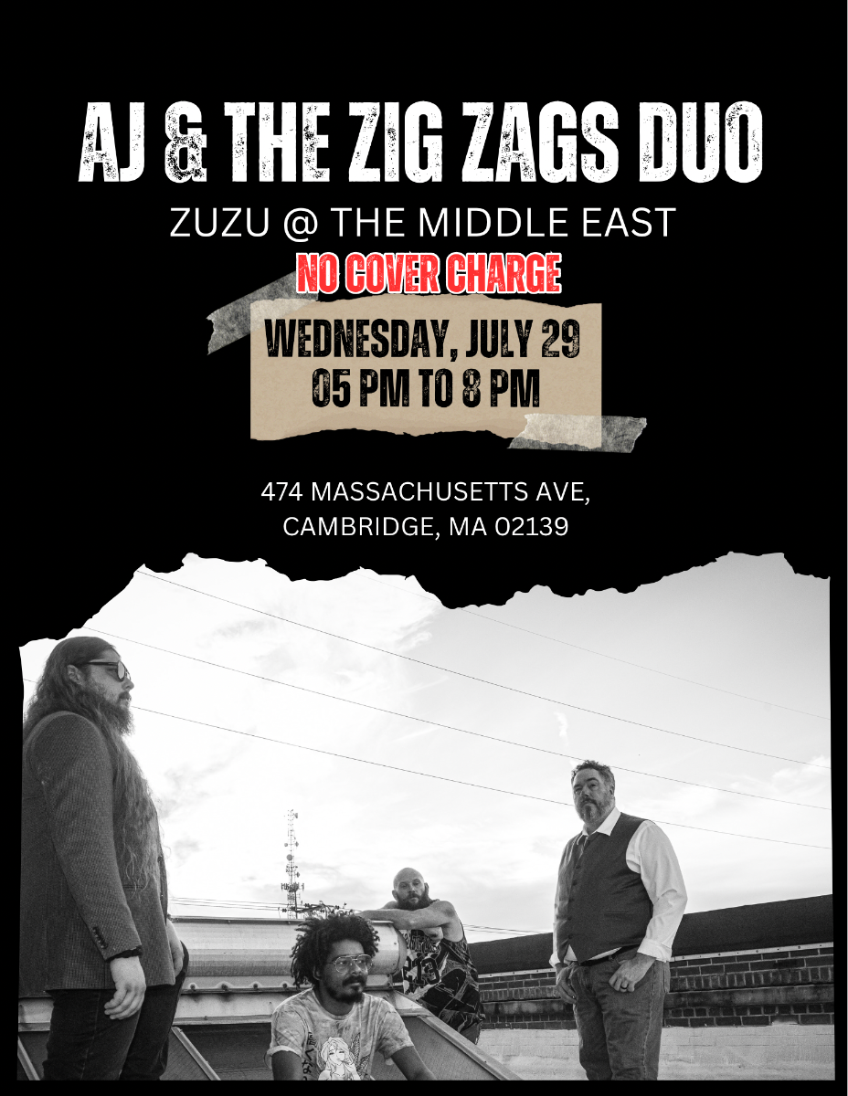 AJ & The Zig Zags Duo | Event Image