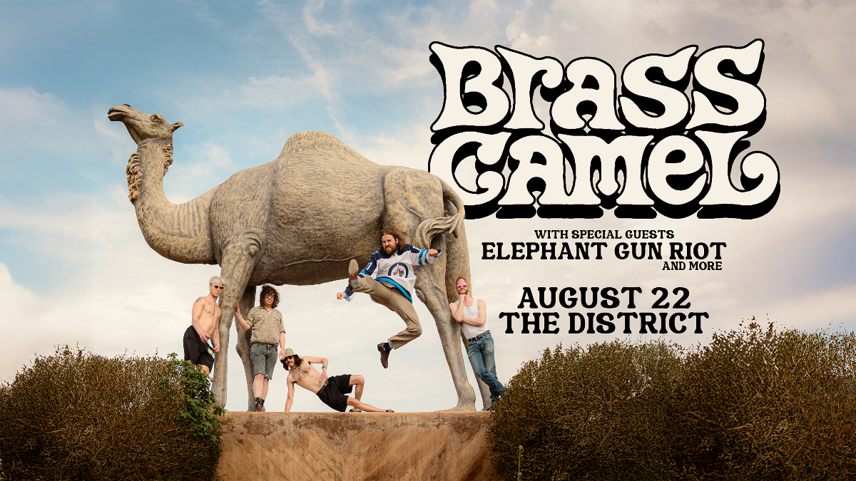 Brass Camel, Elephant Gun Riot