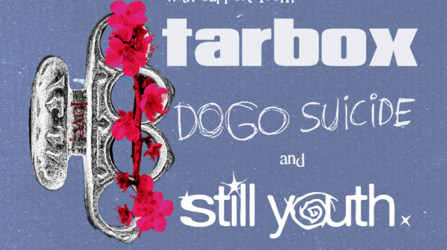 Tarbox, Dogo Suicide, Still Youth