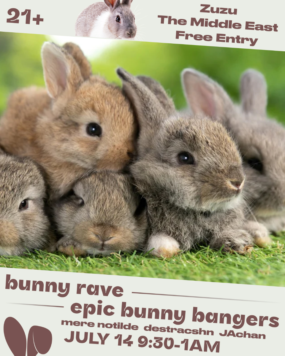 Bunny Rave w/ Mere Notilde, destracshn, JAchan | Event Image