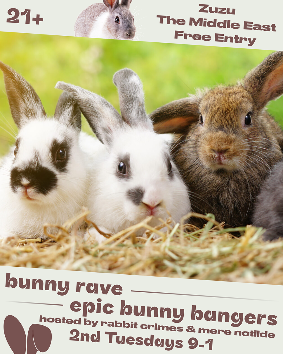 Bunny Rave w/ Rabbit Crimes & Mere Notilde | Event Image