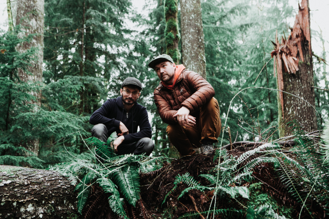 Presales to emancipator chrysalis tour: members use these when buying pre-sale tickets