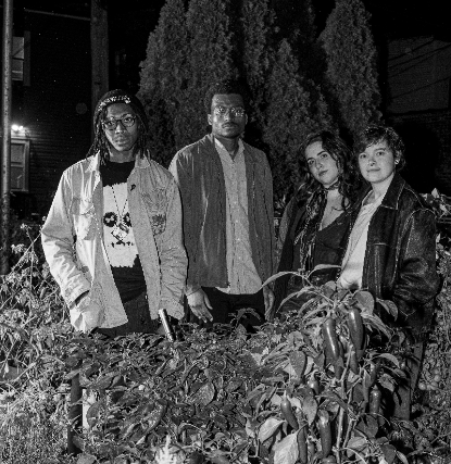 Rain Garden / Girly Pants / Adelaide