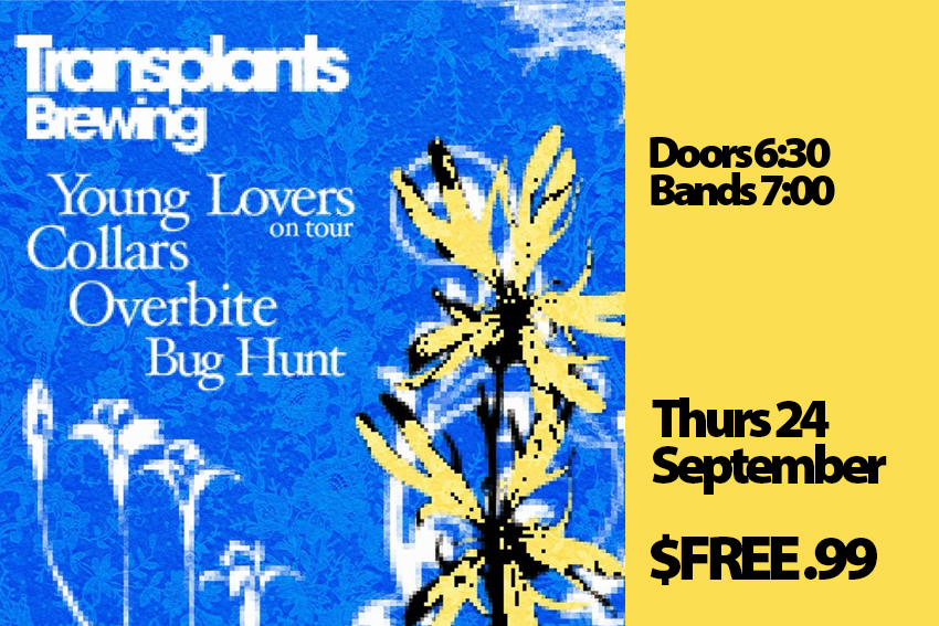 FREE SHOW: YOUNG LOVERS / COLLARS / OVERBITE / BIG HUNT
