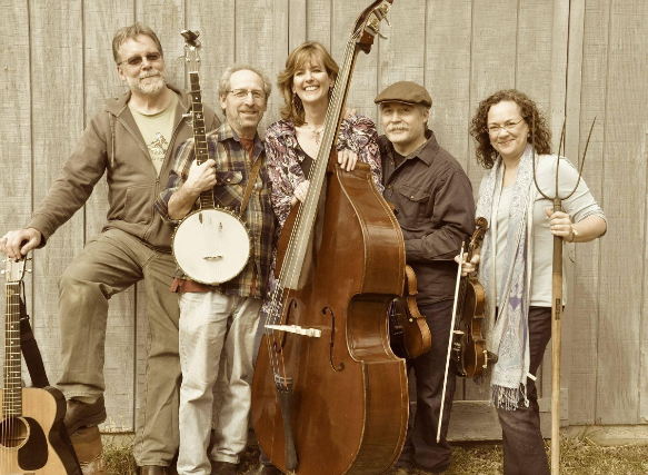 Mr. Haney Appalachian Stringband