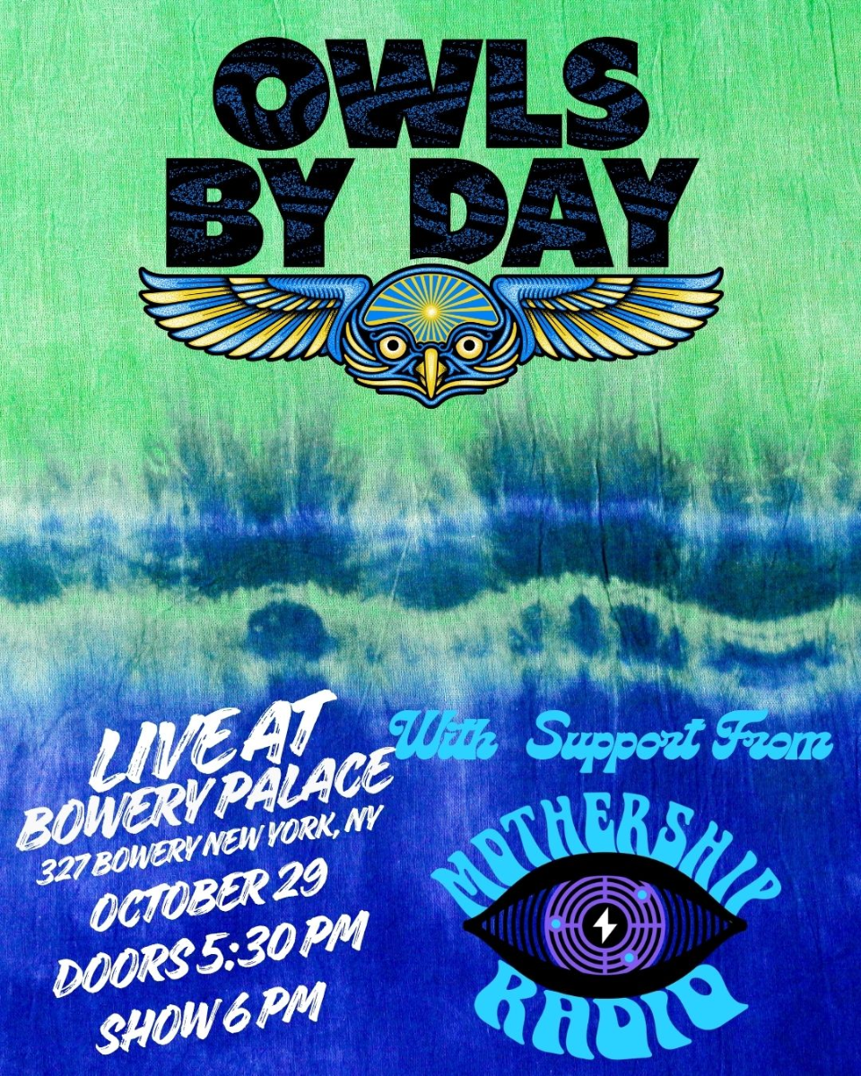 Owls By Day | Mothership Radio