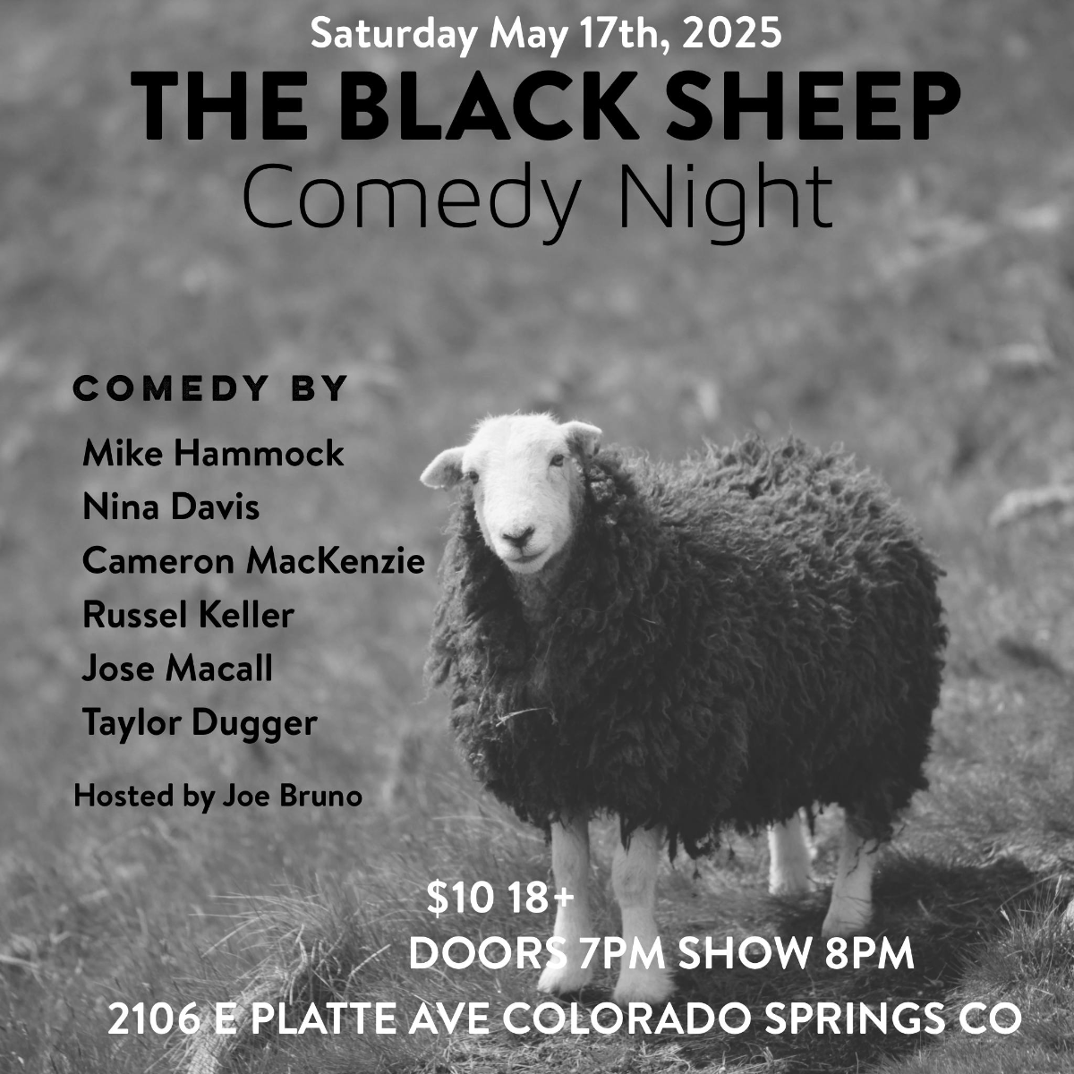 Featured Image - The Black Sheep Comedy Night - 17