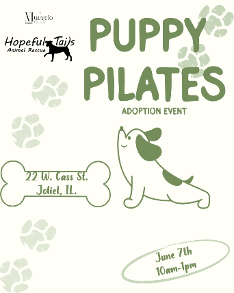 Puppy Pilates - Adoption Event