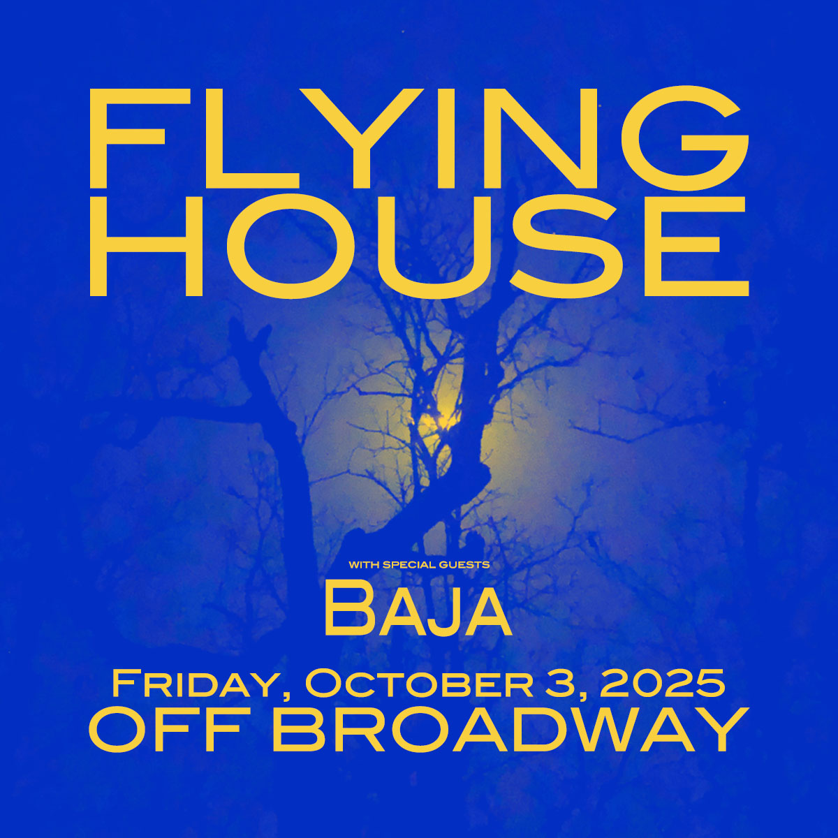 Flying House