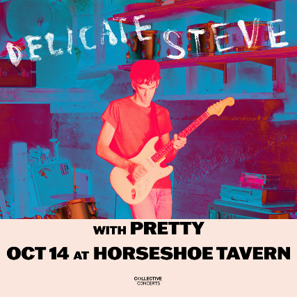 Delicate Steve