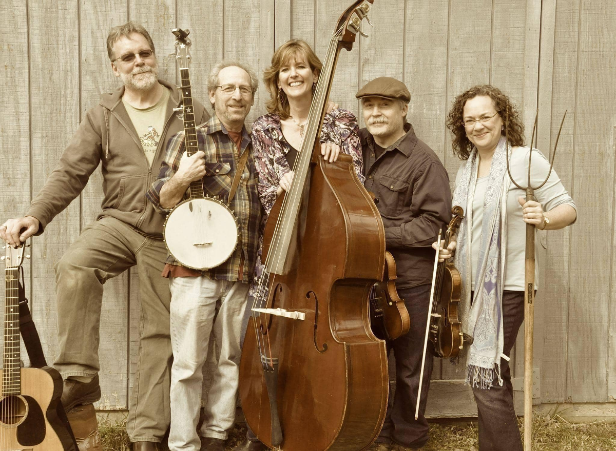 Mr. Haney Appalachian Stringband