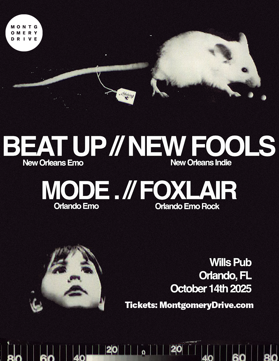 Beat Up, New Fools, Mode., and Foxlair