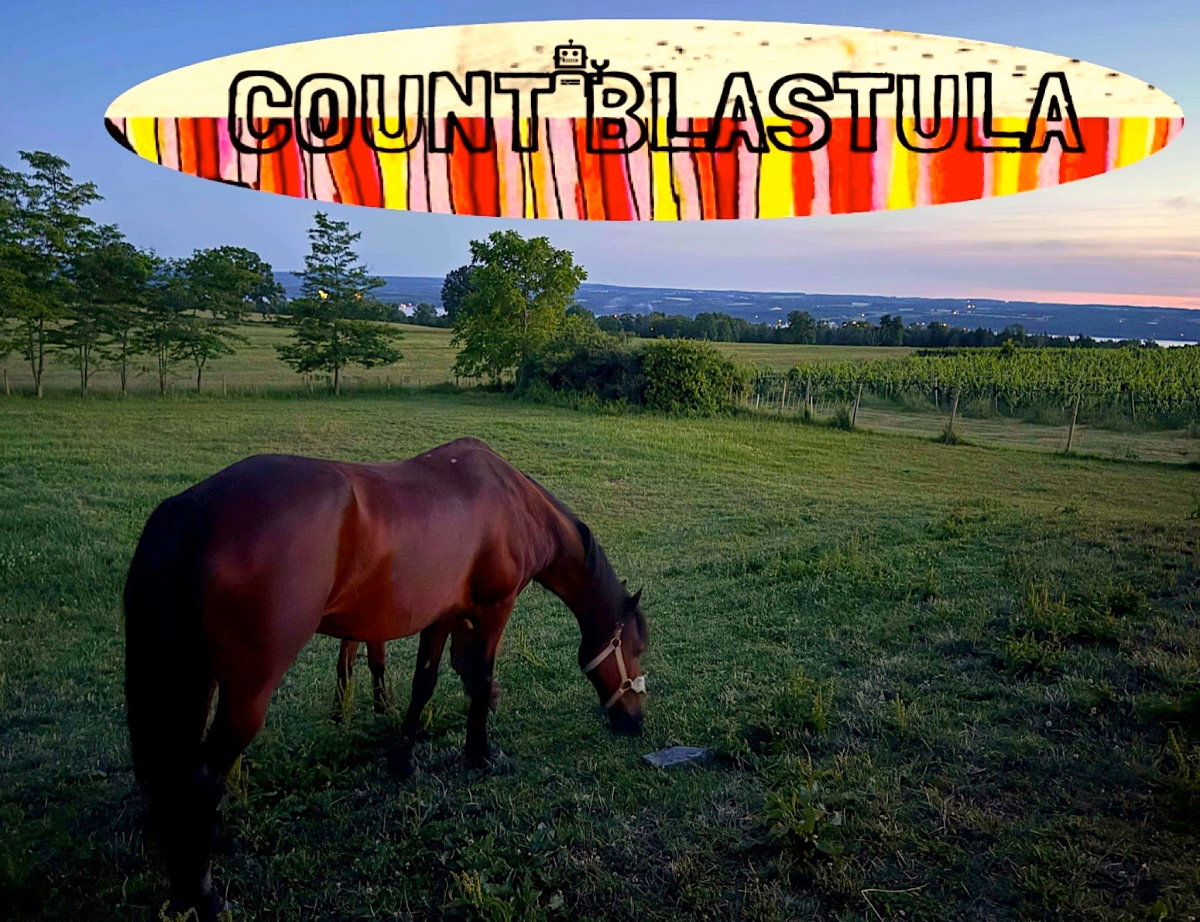 FREE SHOW - COUNT BLASTULA TRIO
