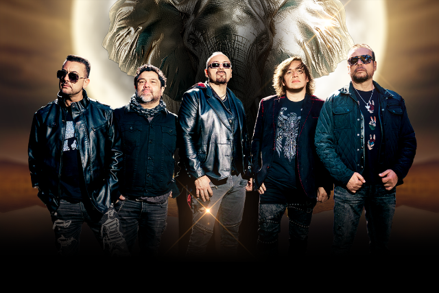 Presale codes for elefante: members use these when buying pre-sale tickets