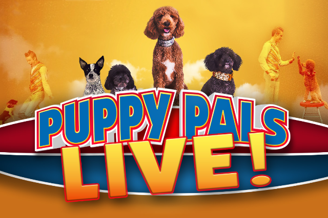 Puppy Pals Live! Early Show at Tally Ho Theater – Leesburg, VA