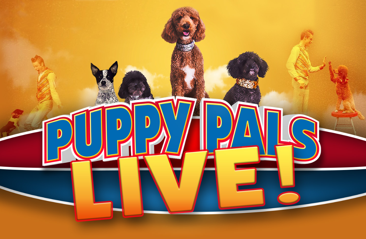 Puppy Pals Live! Late Show