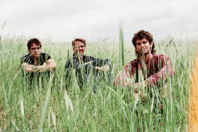 Presale codes for the moss: members use these when buying pre-sale tickets