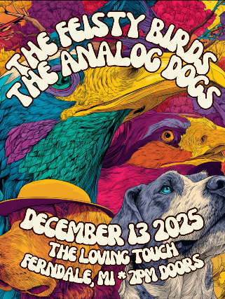 The Feisty Birds, The Analog Dogs