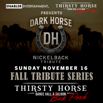 Dark Horse - a Nickelback Tribute