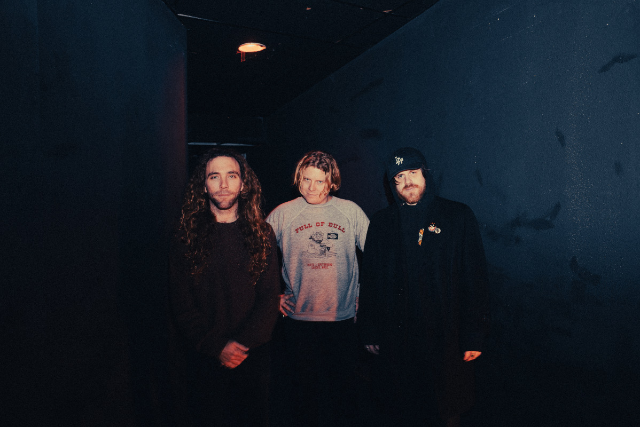 Presale codes for fuzz: members use these when buying pre-sale tickets