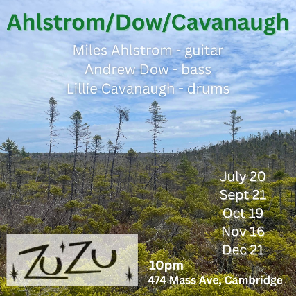 Andrew Dow Jazz Trio