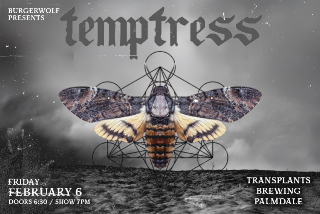 Image of TEMPTRESS Image of TEMPTRESS