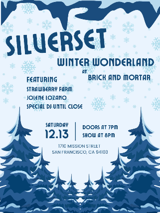 Silverset Winter Wonderland