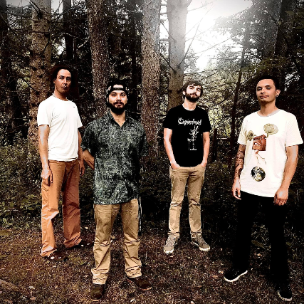 REALITY CHECK EXPERIMENT + HONKER