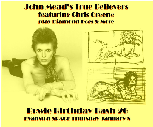 Image of David Bowie Birthday Bash ft. The True Believers Image of David Bowie Birthday Bash ft. The True Believers