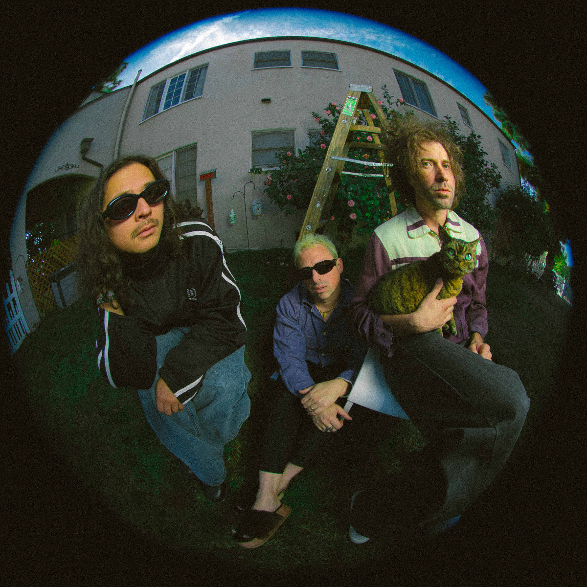 The Technicolors  , VEAUX - 20/03/26