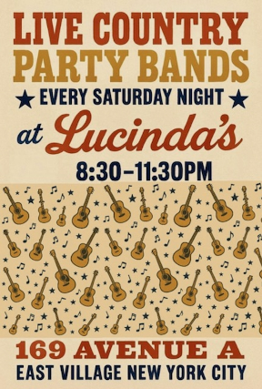 Live Country Party Band