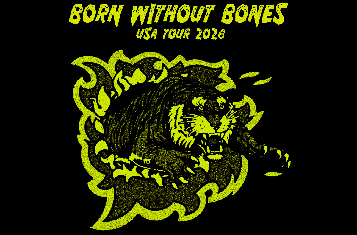 Born Without Bones