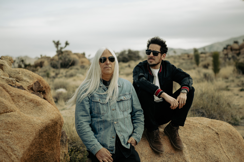 Young Gun Silver Fox