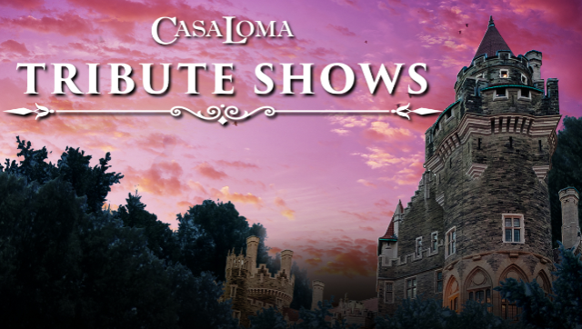 Tribute Show: ABBAMANIA