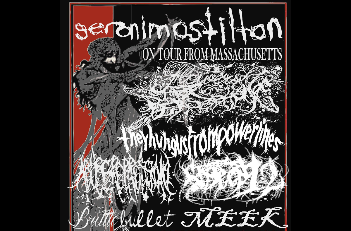 Geronimo Stilton, Flowers For Persephone, Theyhungusfrompowerlines, Abuse Repression, sixteen12swag, Brittle Bullet, Meek