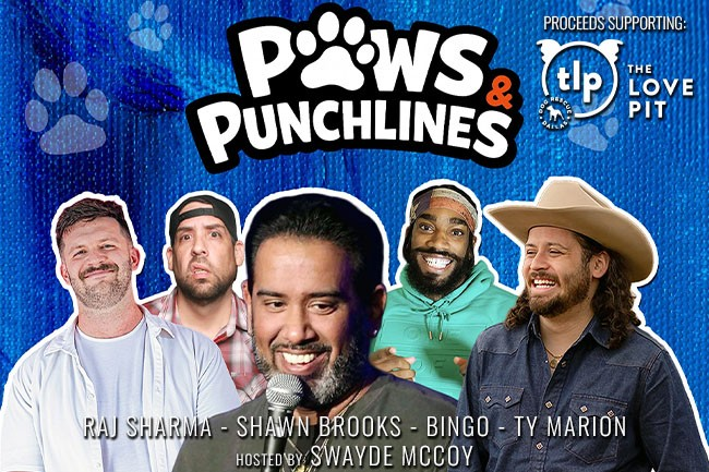 Paws and Punchlines