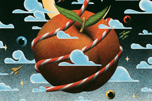 Winyah and Penelope Road