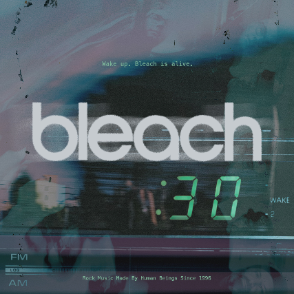 Bleach 30 Year Anniversary
